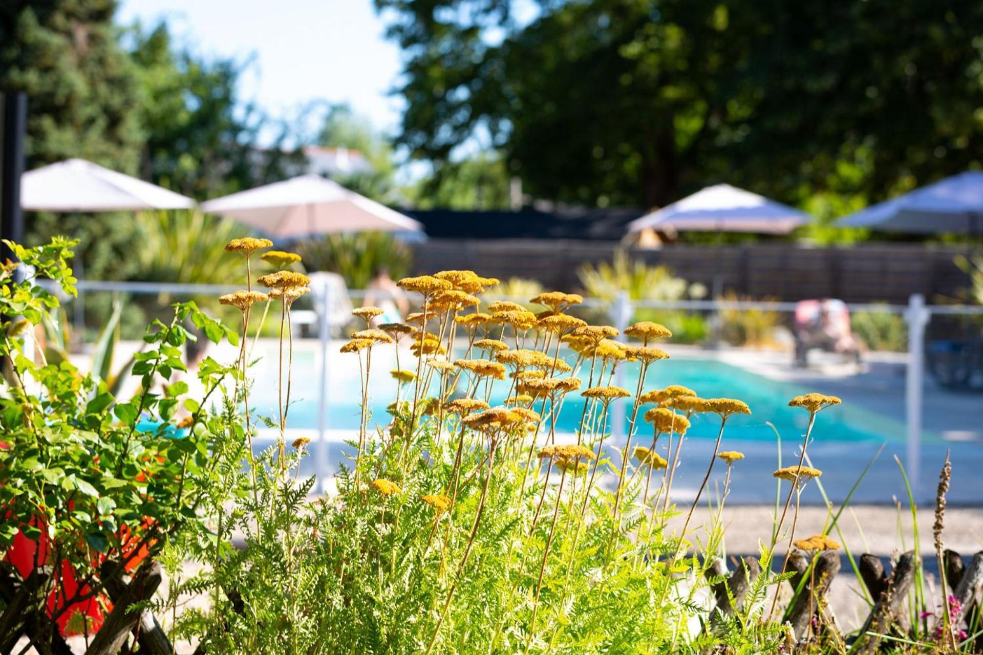 Hotel Mileade Le Domaine De La Blairie - Saumur Saint-Martin-de-la-Place Ngoại thất bức ảnh
