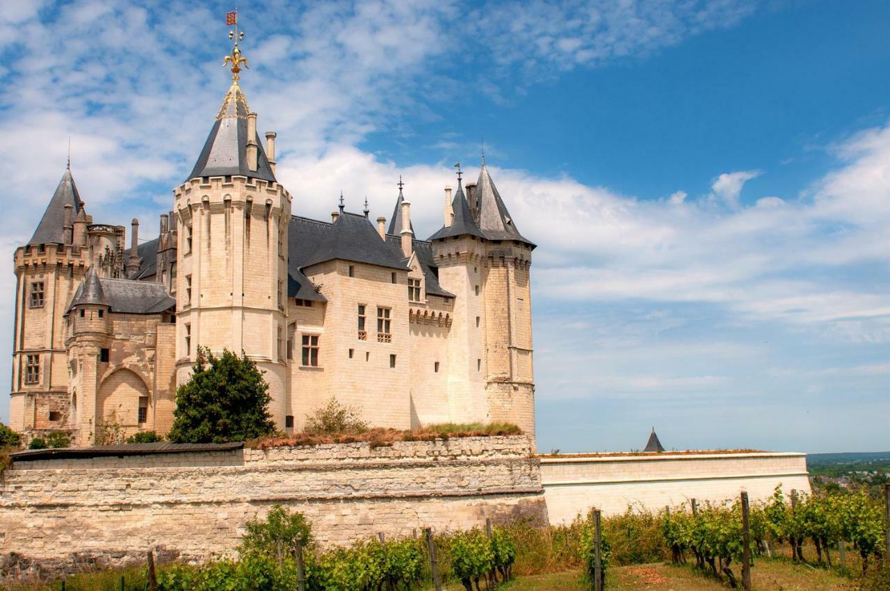 Hotel Mileade Le Domaine De La Blairie - Saumur Saint-Martin-de-la-Place Ngoại thất bức ảnh